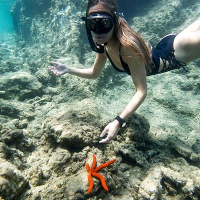 snorkel y estrella de mar-min_opt